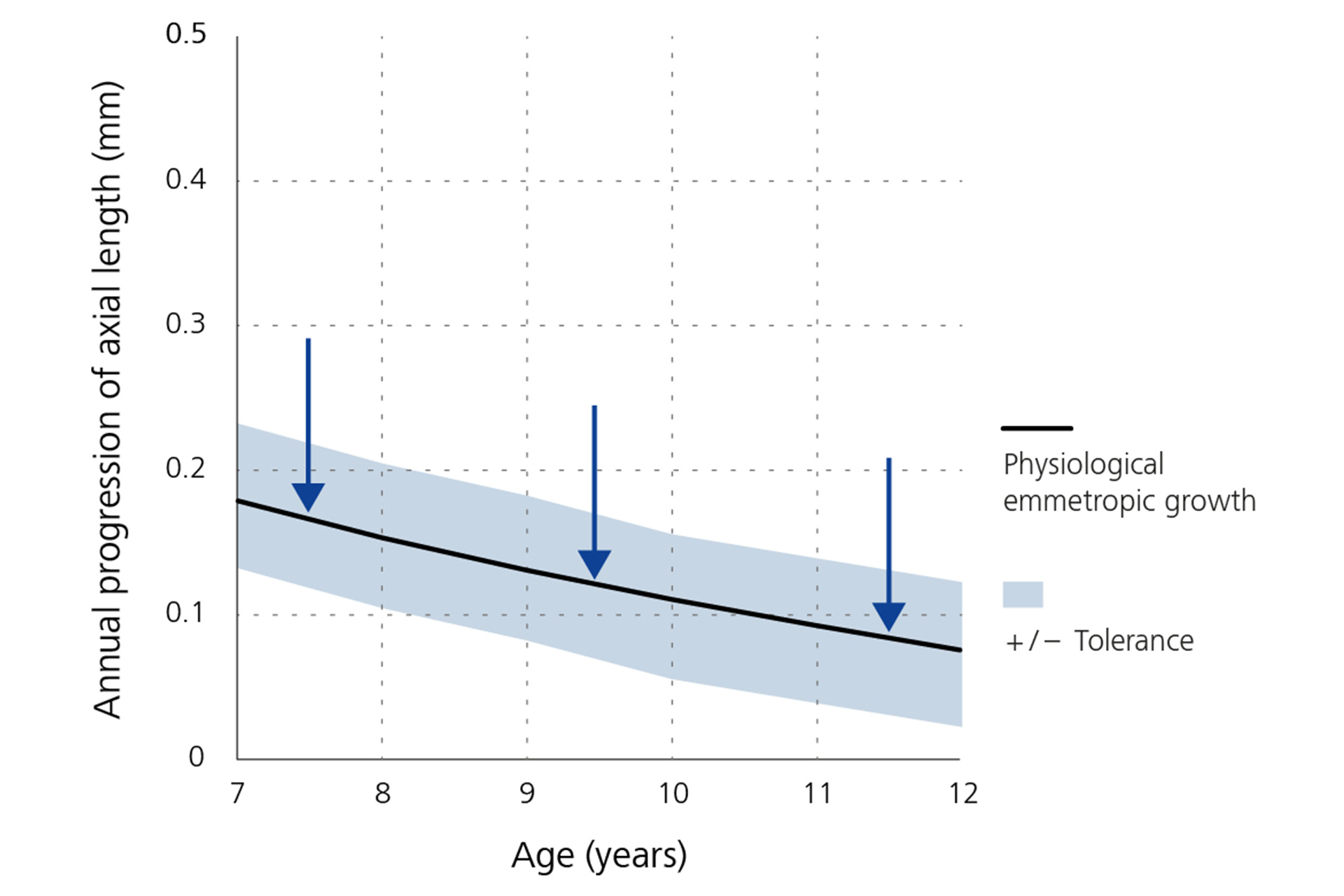 Viivakaavio, jossa näkyy aksiaalisen pituuden kasvun vuosittainen väheneminen lähtökohtana ikä.