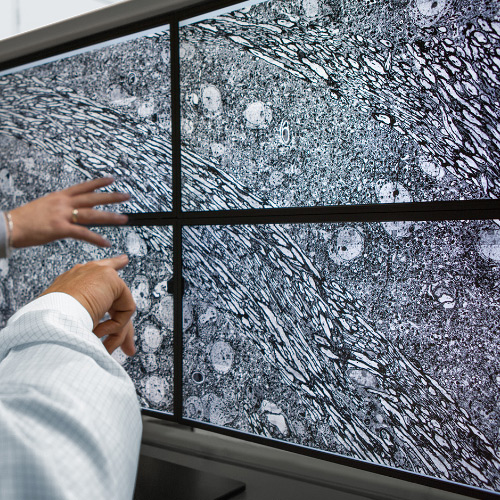 Kuva neljästä näytöstä, joilla näkyy ZEISS MultiSEM -mikroskoopilla otettuja kuvia. 