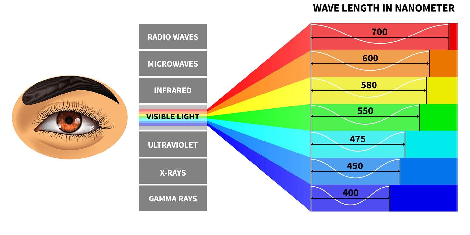 Näkyvä valospektri sekä ihmissilmän havaitsemat värien aallonpituudet.